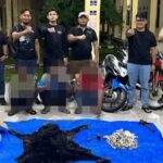 Ungkap Perdagangan Satwa Dilindungi, Polres Simalungun Sita 30 Kg Sisik Trenggiling dan Kulit Beruang Madu