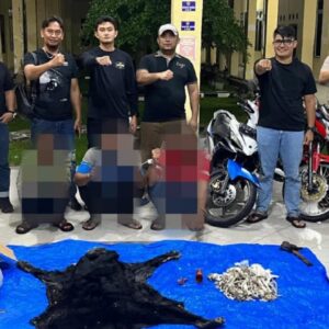 Ungkap Perdagangan Satwa Dilindungi, Polres Simalungun Sita 30 Kg Sisik Trenggiling dan Kulit Beruang Madu