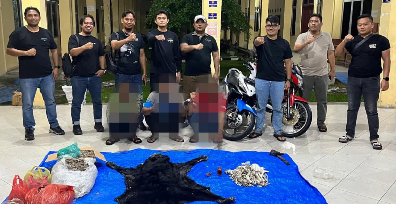 Ungkap Perdagangan Satwa Dilindungi