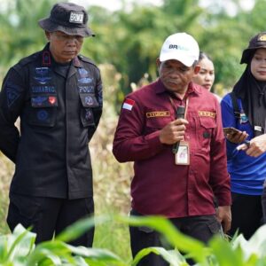 Wakapolda Papua Barat Cek Progres Dryer Jagung dan Demplot Benih Unggul di Manokwari
