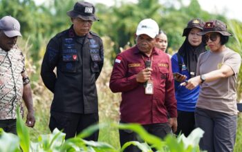 Wakapolda Papua Barat Cek Progres Dryer Jagung dan Demplot Benih Unggul di Manokwari