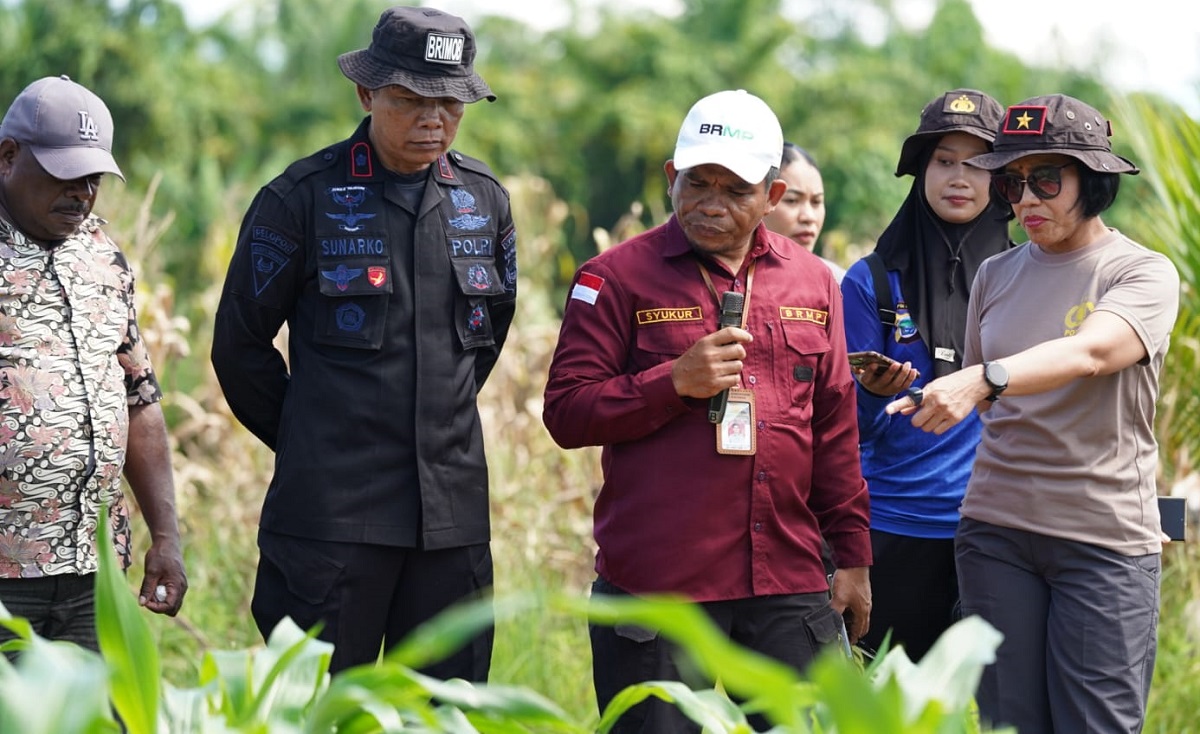 Wakapolda Papua Barat Cek Progres Dryer Jagung