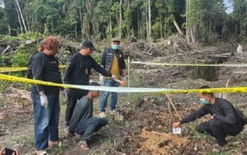Kurang dari 24 Jam, Polsek Manis Mata Berhasil Ungkap Kasus Dugaan Pembunuhan Perempuan di Ketapang