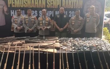 Polda Sumsel Musnahkan 397 Senjata Api Ilegal