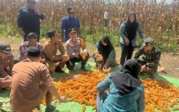 Polsek Manis Mata Dukung Ketahanan Pangan