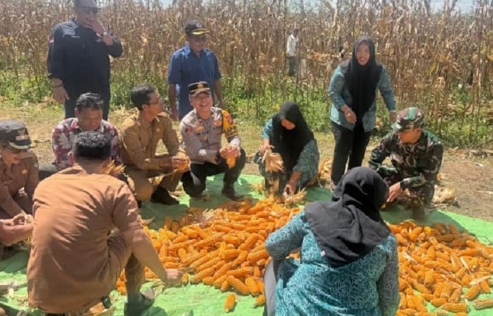 Polsek Manis Mata Dukung Ketahanan Pangan