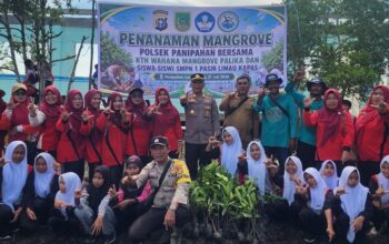 Polsek Panipahan Bersama Pelajar dan KTH Tanam 150 Bibit Mangrove