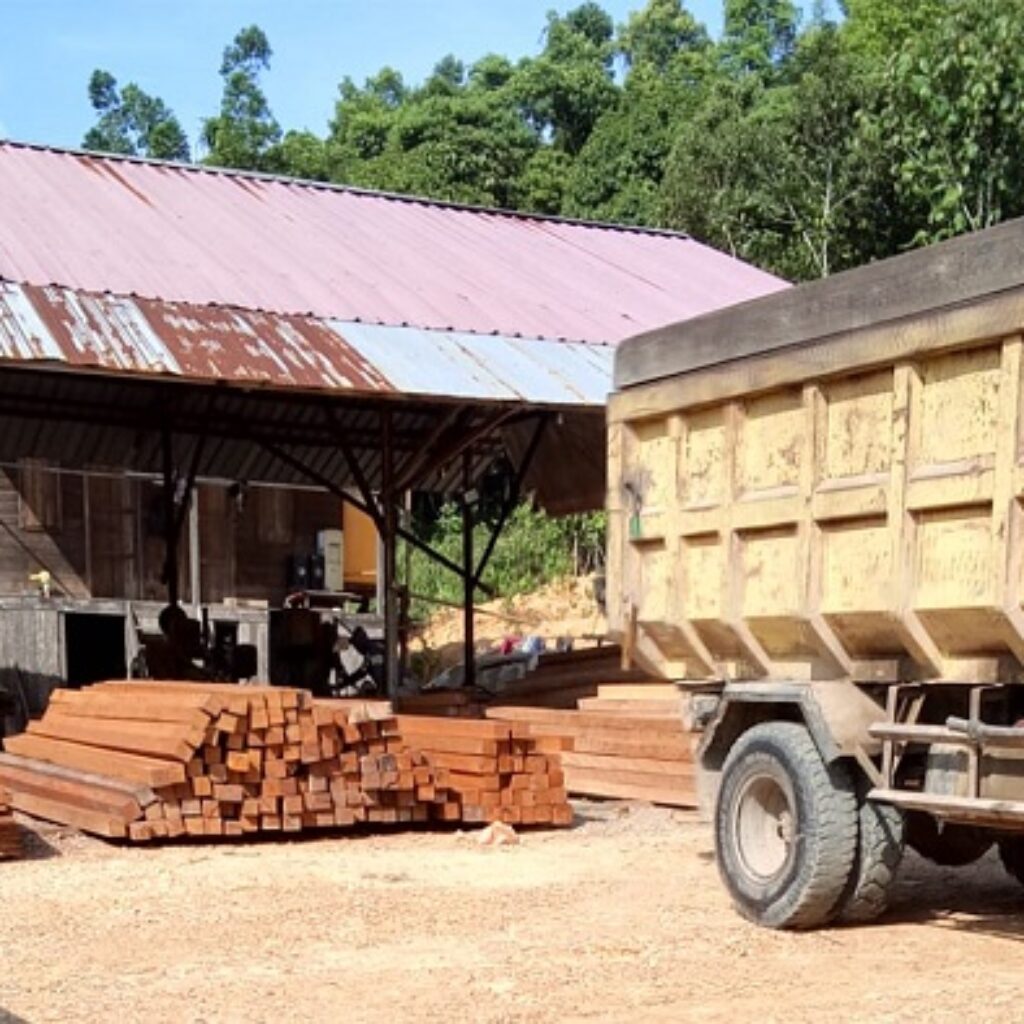 Wartawan Buser24 Mengaku Diancam Usai Berita Dugaan Somel di Berau, APH Diminta Selidiki