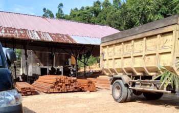 Wartawan Buser24 Mengaku Diancam Usai Berita Dugaan Somel di Berau, APH Diminta Selidiki
