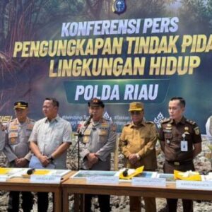 Bupati Rohil Apresiasi Polda Riau Ungkap Perusakan Hutan Mangrove, Dua Tersangka Diamankan
