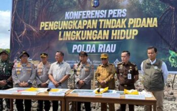 Bupati Rokan Hilir Bistamam bersama Kapolda Riau Irjen Pol Herry Heryawan saat meninjau lokasi dugaan perusakan hutan mangrove di Kabupaten Rokan Hilir.