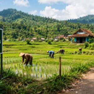 Desa Gunungtanjung Kabupaten Sukabumi Siapkan Lahan Produktif, Bidik Status Sentra Pangan dan Desa Mandiri