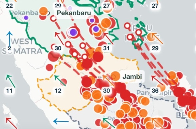 313 Hotspot Terdeteksi di Riau, Polda dan TNI Perkuat Penanganan Karhutla