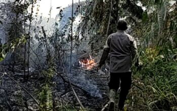 Cegah Karhutla Meluas, Polsubsektor Sungai Melayu Rayak Cek dan Padamkan Titik Api di Ketapang