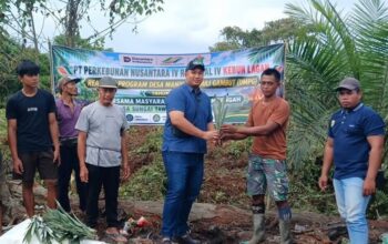 Dorong Ekonomi Warga, PTPN IV PalmCo Salurkan 1.500 Bibit Nanas di Tanjung Jabung Timur