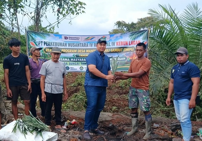 Dorong Ekonomi Warga, PTPN IV PalmCo Salurkan 1.500 Bibit Nanas di Tanjung Jabung Timur