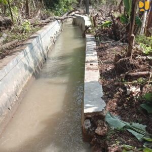 Gempa NTT M7,7 Ganggu Irigasi dan Air Bersih, Kementerian PU Pastikan Bendungan Tetap Aman