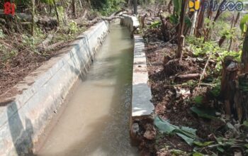 Gempa NTT M7,7 Ganggu Irigasi dan Air Bersih