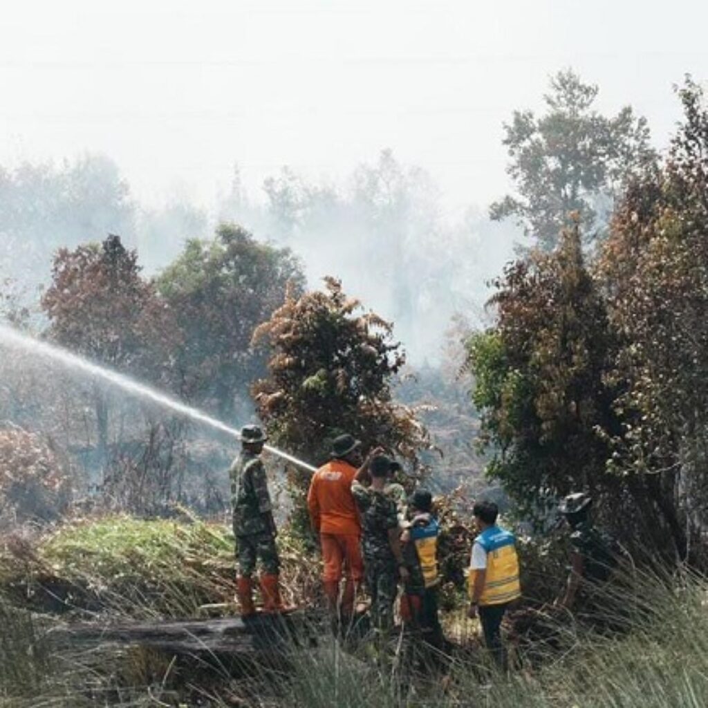 Karhutla Kalteng Capai 400 Hektare, Kementerian PU Kerahkan 3 Truk Tangki Air