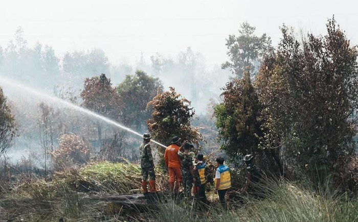 Karhutla Kalteng Capai 400 Hektare, Kementerian PU Kerahkan 3 Truk Tangki Air
