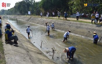 Kementerian PU Gelar Gerakan Irigasi Bersih di 38 Wilayah