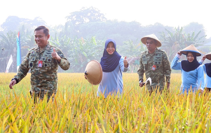 Panen Perdana 17,5 Ton Gabah, Lanud Halim Perdanakusuma Dukung Ketahanan Pangan Nasional