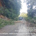 Pascagempa NTT, Kementerian PU Kerahkan Alat Berat Buka Jalan Nasional