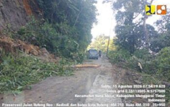 Pascagempa NTT, Kementerian PU Kerahkan Alat Berat Buka Jalan Nasional