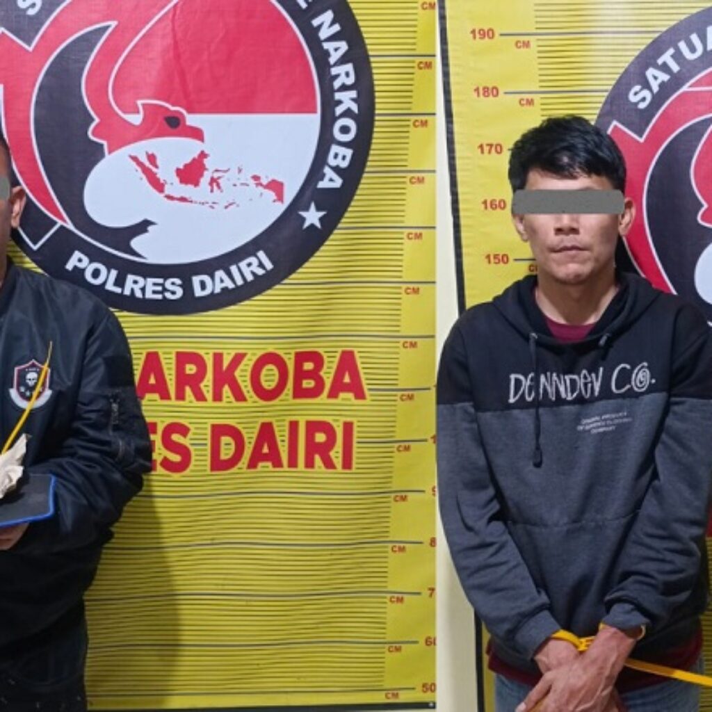 Polres Dairi Tangkap Kurir dan Pengedar Ganja 18 Gram di Bintang Mersada