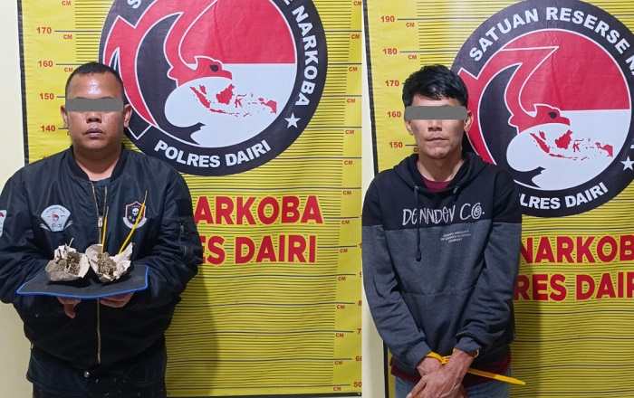 Polres Dairi Tangkap Kurir dan Pengedar Ganja