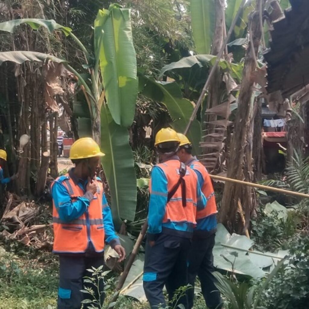 Respons Cepat Laporan Warga, PLN ULP 2 Labuan Pangkas Bambu Dekat Kabel Listrik