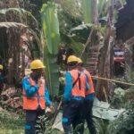 Respons Cepat Laporan Warga, PLN ULP 2 Labuan Pangkas Bambu Dekat Kabel Listrik