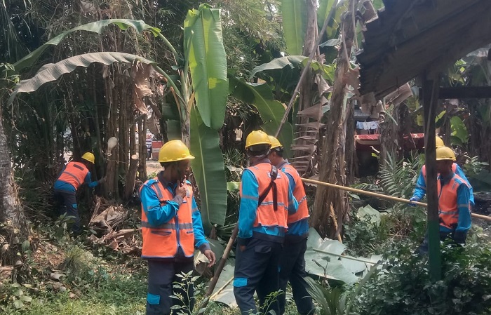Respons Cepat Laporan Warga, PLN ULP 2 Labuan Pangkas Bambu Dekat Kabel Listrik
