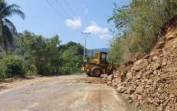 Sepekan Pascagempa Flores, Kementerian PU Periksa 34 Titik Longsor dan 9 Jembatan