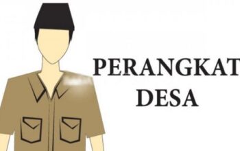 Soroti Status Kaur Perencanaan, Ketua BPD Pejamben Minta DPMPD Pandeglang Segera Terbitkan SK Pengganti