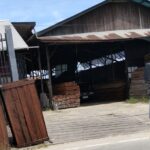 Tumpukan Kayu di Sambutan Disorot, Pemilik Klaim Dokumen Legalitas Lengkap