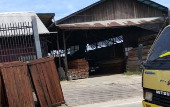 Tumpukan Kayu di Sambutan Disorot, Pemilik Klaim Dokumen Legalitas Lengkap