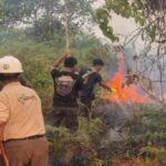 34 Hotspot Terdeteksi di Kendawangan, Tim Gabungan Padamkan Karhutla di Cagar Alam