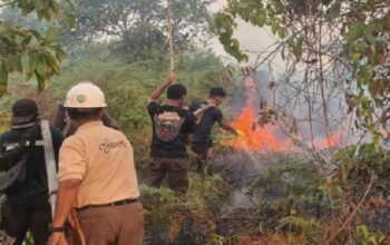 34 Hotspot Terdeteksi di Kendawangan, Tim Gabungan Padamkan Karhutla di Cagar Alam
