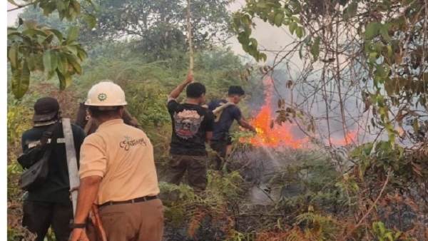 34 Hotspot Terdeteksi di Kendawangan, Tim Gabungan Padamkan Karhutla di Cagar Alam