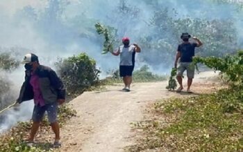 ASN Lahat Berinisial F Diperiksa Polisi Terkait Kebakaran Lahan 4 Hektare