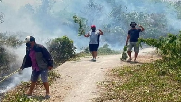ASN Lahat Berinisial F Diperiksa Polisi Terkait Kebakaran Lahan 4 Hektare