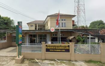 Anggaran BOK Puskesmas Rajabasa Lama Lampung Timur Rp744 Juta Disorot, Kepala Puskesmas Beri Klarifikasi