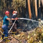 Antisipasi Karhutla, PTPN IV PalmCo Perkuat Deteksi Dini dan Patroli di Sumatera-Kalimantan