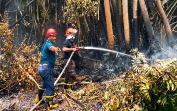 Antisipasi Karhutla, PTPN IV PalmCo Perkuat Deteksi Dini dan Patroli di Su-matera-Kalimantan