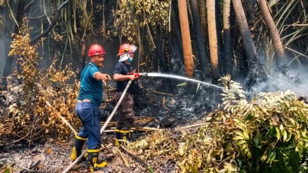 Antisipasi Karhutla, PTPN IV PalmCo Perkuat Deteksi Dini dan Patroli di Su-matera-Kalimantan