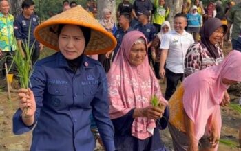 Bendungan Desa Padang Kembali Berfungsi, Wabup Lahat Dorong Produktivitas Pertanian