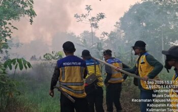 Karhutla di Kapuas Bakar 10 Hektare, Kementerian PU Kerahkan Personel dan Pompa Air