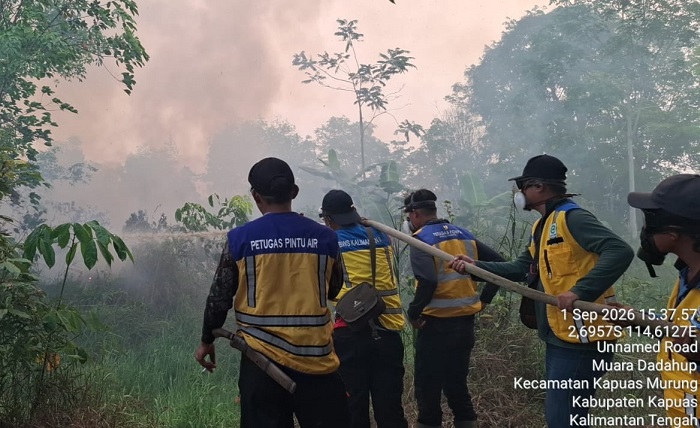 Karhutla di Kapuas Bakar 10 Hektare, Kementerian PU Kerahkan Personel dan Pompa Air
