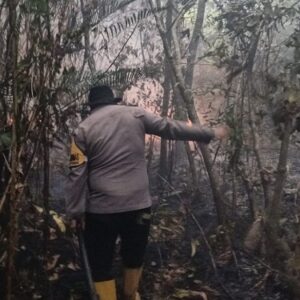 Karhutla di Kuala Tolak, Polsek Matan Hilir Utara Bergerak Cepat Padamkan Api